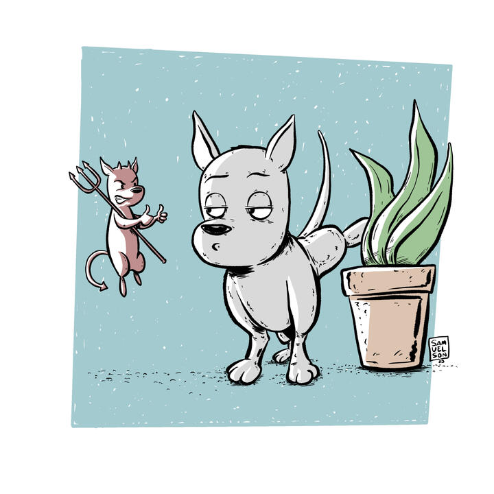 Illustration - devil dog